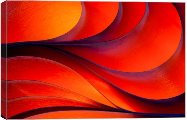 Light and Curves 3 Canvas Print by Kelly Bailey