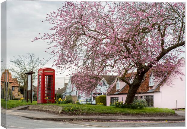 Phone box and the Cherry Tree Canvas Print by Kelly Bailey