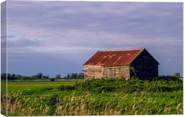 The Old Shed  Canvas Print by Kelly Bailey