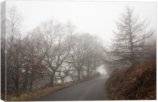 The long and winding road, Abertysswg Canvas Print by Ramas King