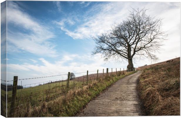 Lone tree - view towards Machen mountain Canvas Print by Ramas King