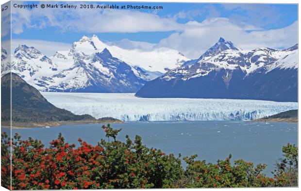 Perito Moreno Glacier  Canvas Print by Mark Seleny
