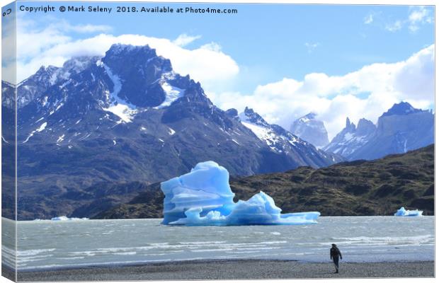Icebergs at the Lake Grey in Torres del Paine Moun Canvas Print by Mark Seleny
