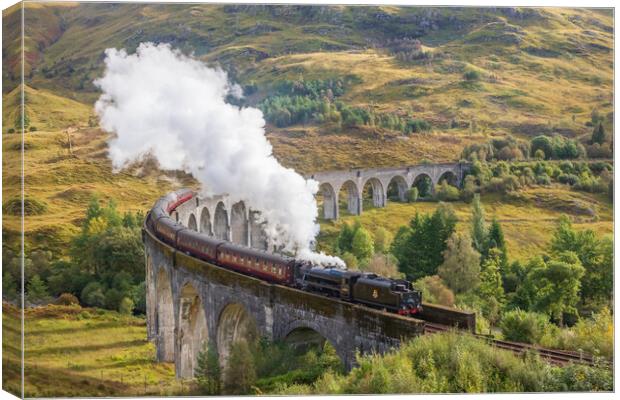 Glenfinnan Viaduct and the Hogwarts Express Canvas Print by Tony Keogh