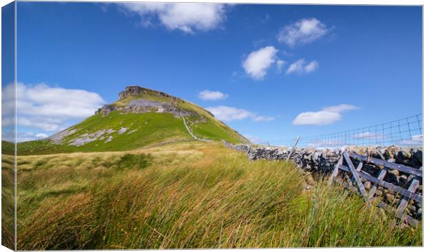 Pen-Y-Ghent in the Yorkshire Dales  Canvas Print by Tony Keogh