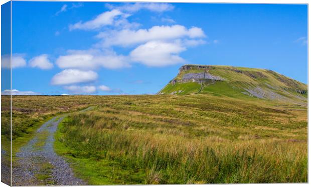 Pen-Y-Ghent in the Yorkshire Dales Canvas Print by Tony Keogh
