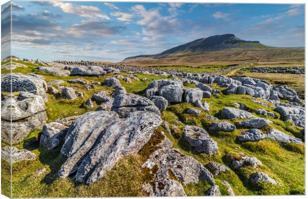 Pen-Y-Ghent in the Yorkshire dales Canvas Print by Tony Keogh