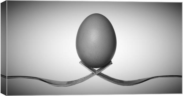 Egg balancing on two forks Canvas Print by Donnie Canning