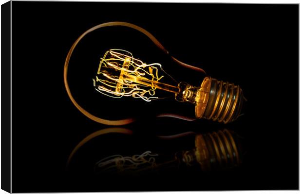 Screw in bulb and reflection Canvas Print by Donnie Canning