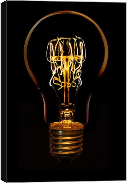 Edison bulb alight Canvas Print by Donnie Canning