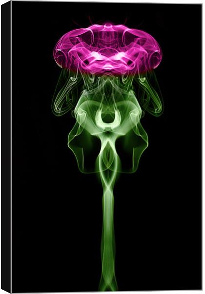 Smoke art Thistle Canvas Print by Donnie Canning