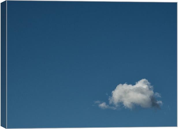 Lonely as a cloud Canvas Print by Donnie Canning