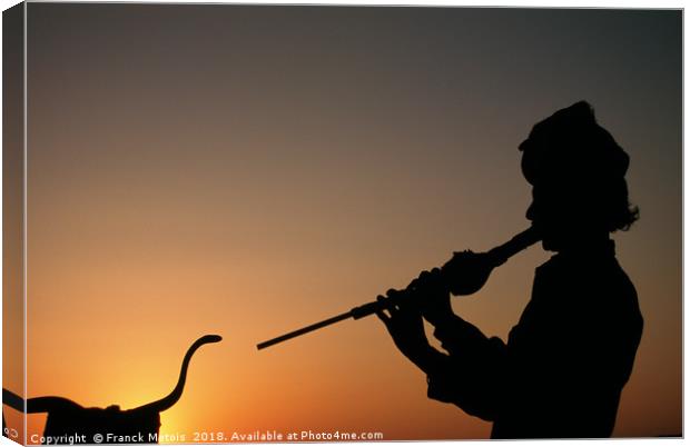 The snake charmer Canvas Print by Franck Metois