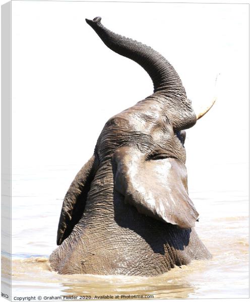 Elephant Swimming Canvas Print by Graham Fielder