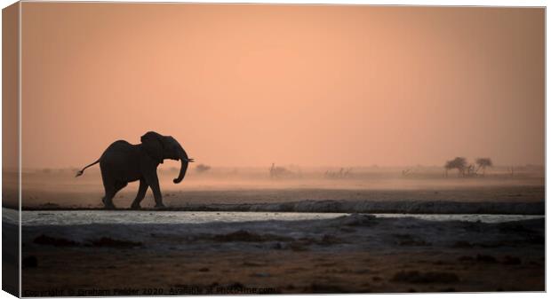 Elephant in the dust Canvas Print by Graham Fielder