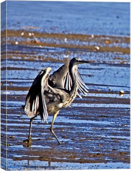 Majestic Gray Heron in its Natural Habitat Canvas Print by Graham Nathan