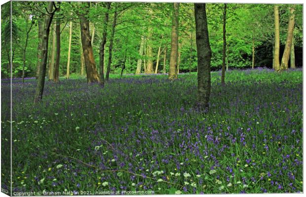 Enchanting Bluebell and Wild Garlic Woods Canvas Print by Graham Nathan