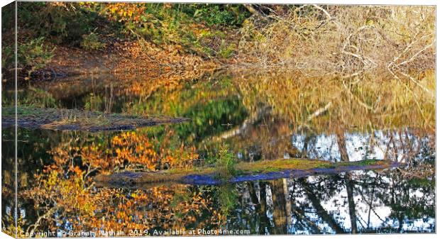Reflective Pond Canvas Print by Graham Nathan