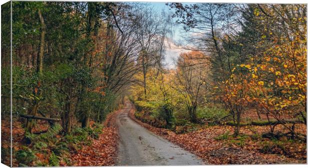 Autumn on the Weald Canvas Print by Richard May