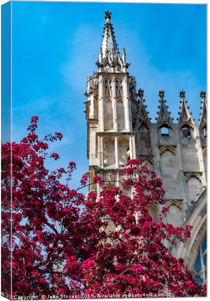 York Minster Spring Blooms Canvas Print by John Stoves