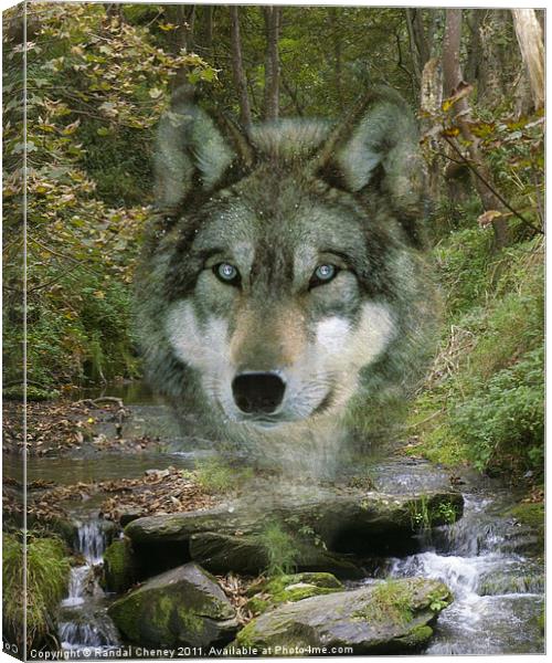 Wolf Spirit in The Rocky Valley Canvas Print by Randal Cheney