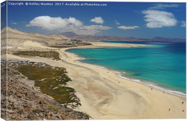 Playa de Sotavento, Fuerteventura Canvas Print by Ashley Wootton