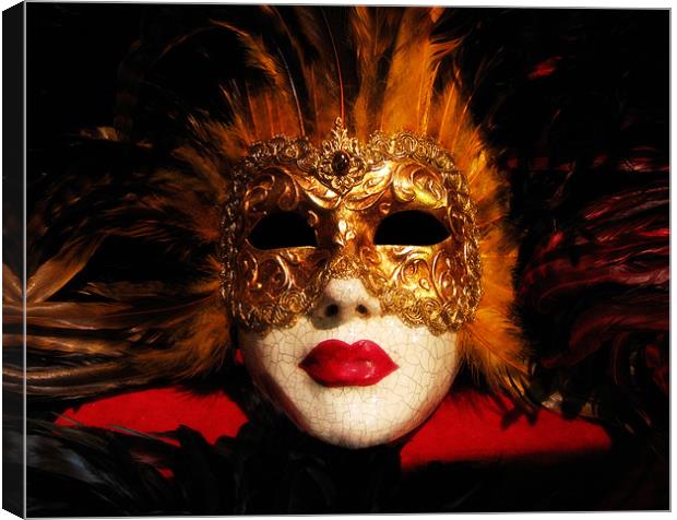Venetian mask Canvas Print by Linda More