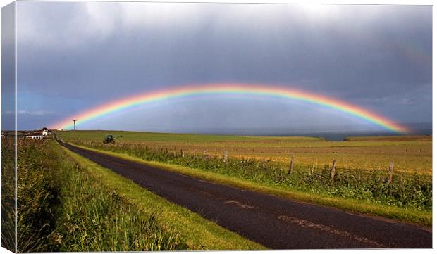 Road to the rainbow Canvas Print by Linda More