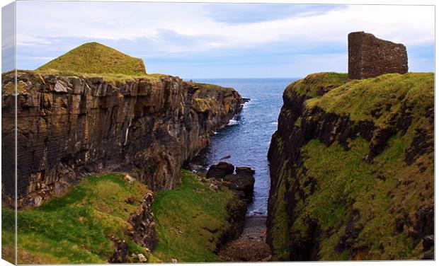 Castle of Old Wick, Caithness, Scotland, UK Canvas Print by Linda More