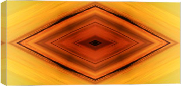 Abstract diamond shape Canvas Print by Linda More