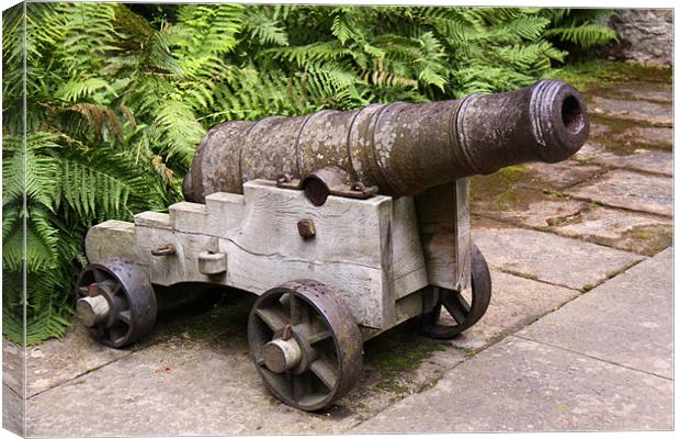Ancient cannon at Cawdor Castle Canvas Print by Linda More