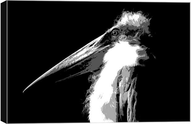 Marabou Stork Canvas Print by Linda More