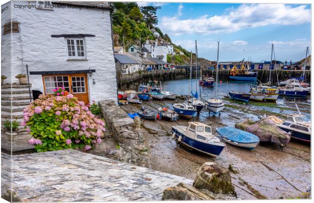 Polperro Harbour In Cornwall Canvas Print by RICHARD MOULT