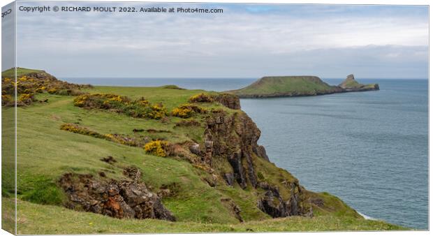 Worms Head at Rhossili on Gower Canvas Print by RICHARD MOULT
