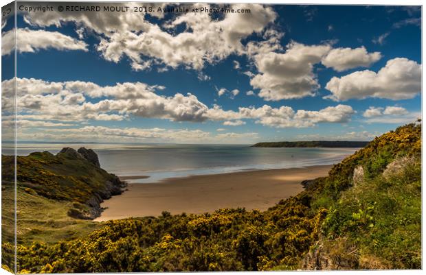 Great Tor & Oxwich Bay Canvas Print by RICHARD MOULT