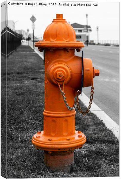 Orange Fire Hydrant Canvas Print by Roger Utting