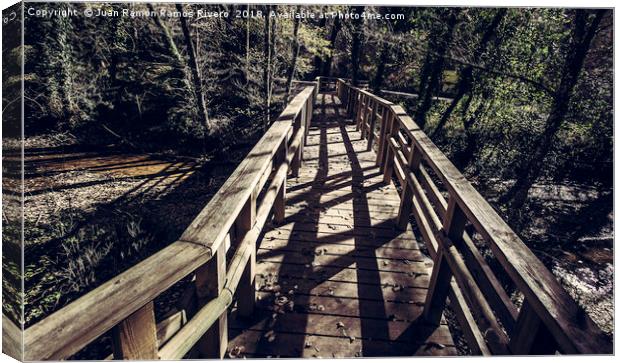 Footbridge leading to the forest Canvas Print by Juan Ramón Ramos Rivero