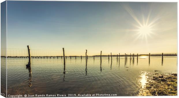 Wooden post and wire fence on a lake Canvas Print by Juan Ramón Ramos Rivero