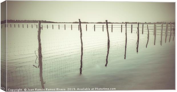 Wooden post and wire fence on a lake in black and  Canvas Print by Juan Ramón Ramos Rivero