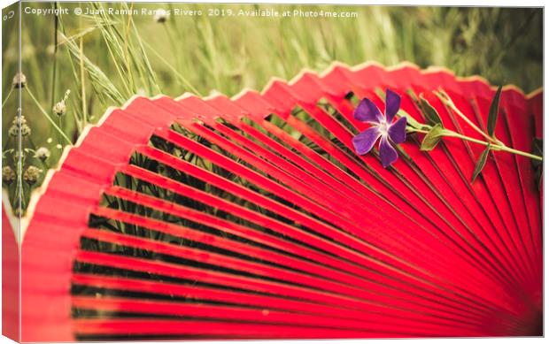 Red spanish fan and vinca major flower Canvas Print by Juan Ramón Ramos Rivero