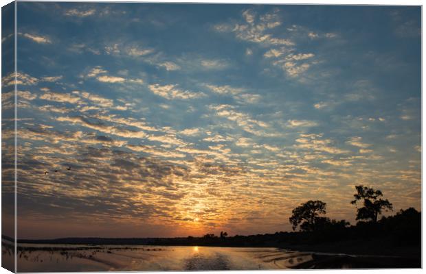 Chobe sunset Canvas Print by Villiers Steyn