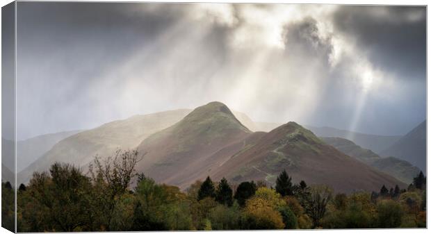 Catbells Light Canvas Print by David Semmens