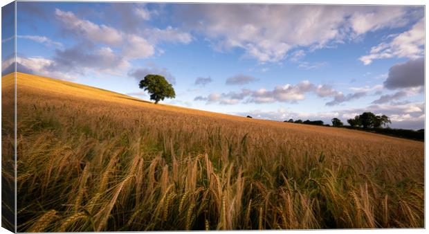 A Splash of Light Canvas Print by David Semmens