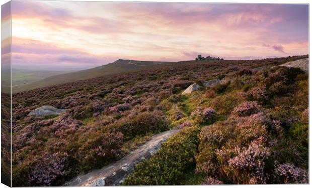 Heavenly Heather Canvas Print by David Semmens