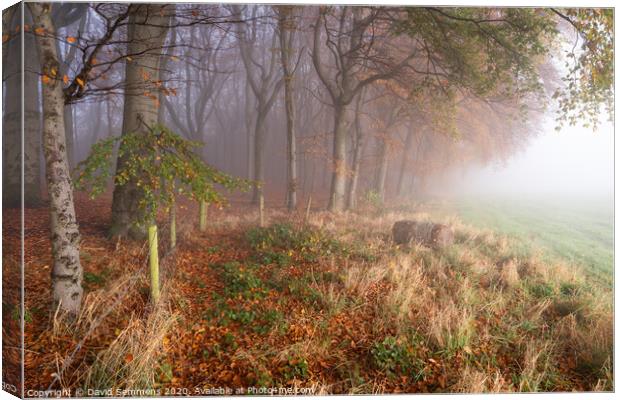 Misty Mornings Canvas Print by David Semmens