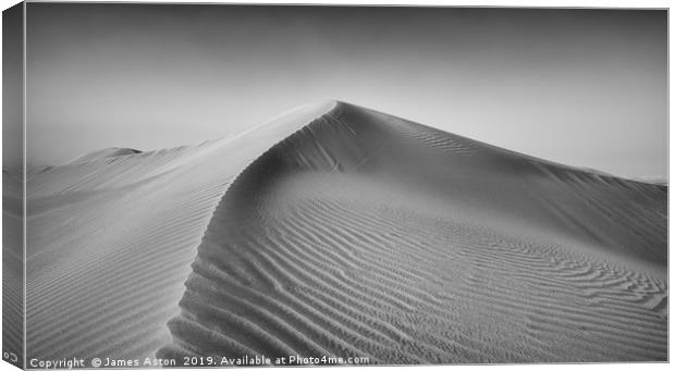 Shifting Sands of Al Qudra Canvas Print by James Aston