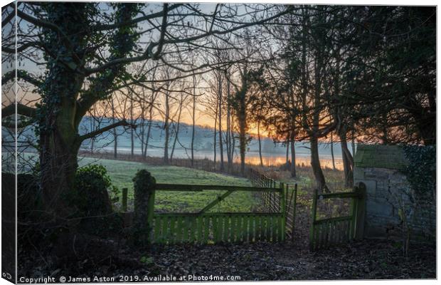Sunrise through the Trees at Deene Park, Corby, No Canvas Print by James Aston