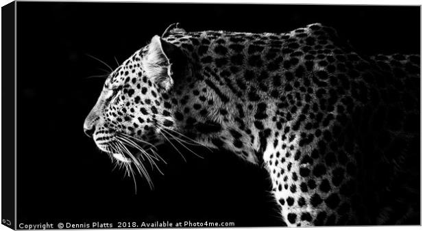Leopard Stare Canvas Print by Dennis Platts