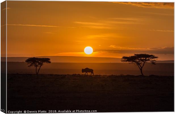 Lonely Wildebeest Canvas Print by Dennis Platts