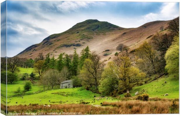 Under Catbells Canvas Print by Phil Page
